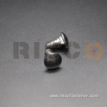 Stainless Steel SS304 SS316 Carriage Bolt